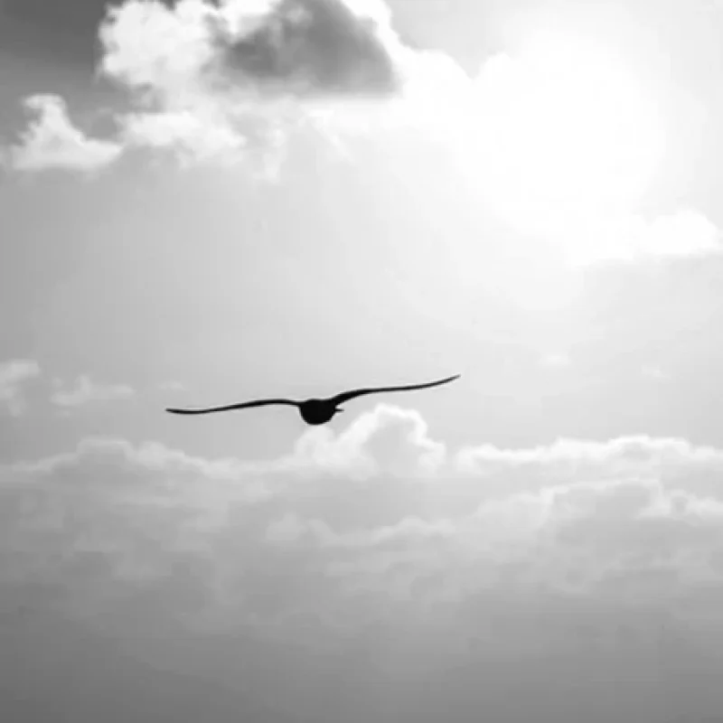 ervaringen-2020-11-17jpg