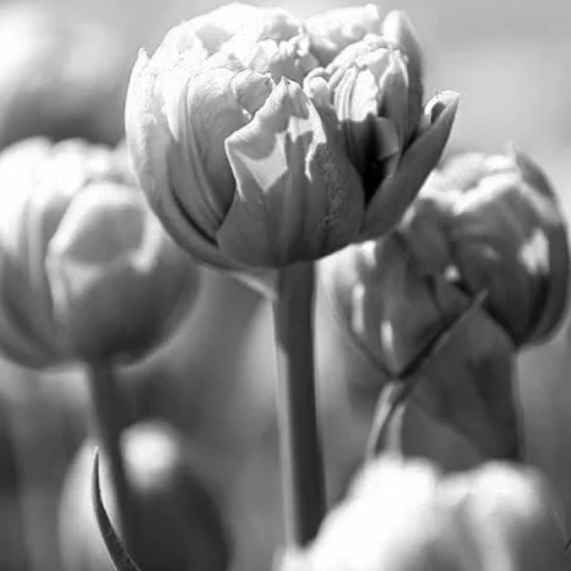 ervaringen-2020-12-22jpg